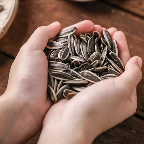 正耕 诚食欢喜原味香瓜子 156g *2包 商品图2