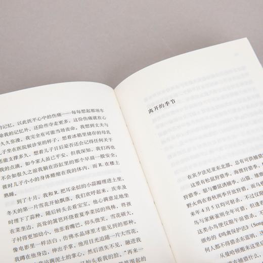 离开的季节 [美] 凯莉· 麦克马斯特斯 著 商品图9