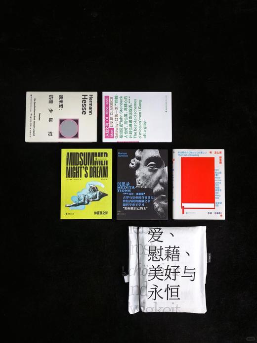 【限量限定】未读首款·口袋书盲盒（精选随机口袋书5本+限定哲思护书袋1个+随机周边掉落），你的随身精神栖息地。 商品图6