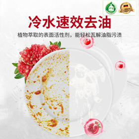 Frosch石榴果浓缩洗洁精 500ml*3 德国进口