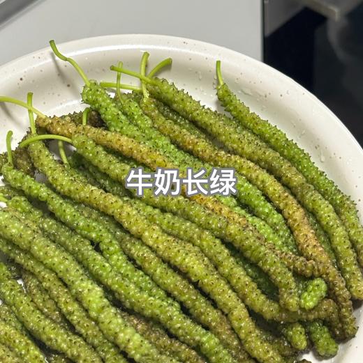 【斌哥优选】阳光果桑。树上自然熟桑葚，甜甜甜，柔柔柔，嫩嫩嫩。四川大凉山限有，果粒饱满，一口软嫩爆汁！ 商品图1