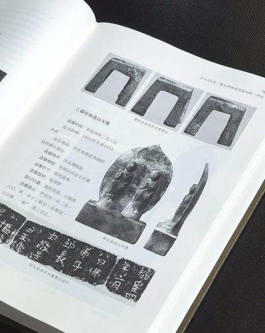 【新书推荐】《隋朝佛教造像艺术编年史》，精装，16开，龙红等编著，河南美术出版社2026年一版一印，584页，定价280元，售价：224元。 商品图9