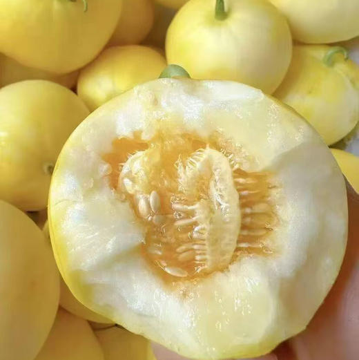 【核心产区脆宝蜂糖•小甜瓜】甜蜜来袭，脆嫩甜爽口！越吃越上瘾，超值秒杀来袭 商品图6
