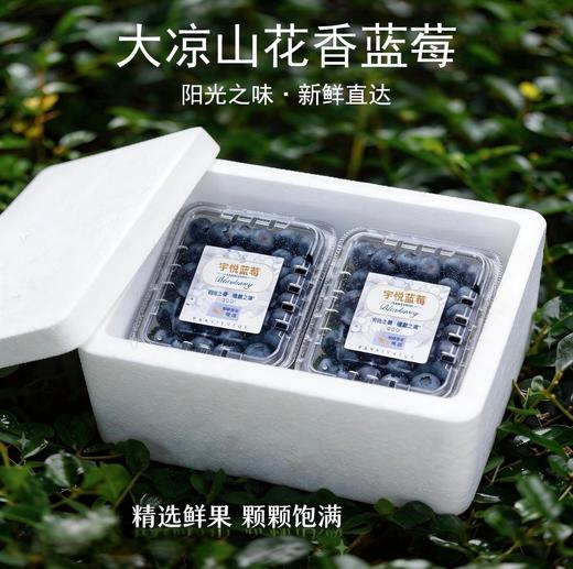 【大凉山花香蓝莓】当季鲜果 可遇不可求的好货 ，果粉好 颗粒大，口感很赞 风味十足 商品图2
