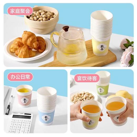 美丽雅厚实纸杯100只装228 商品图4