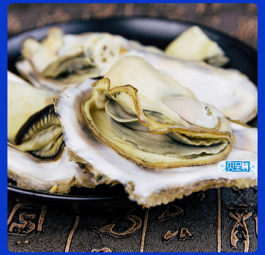 乳山生蚝 无公害养殖海域 名特优新农产品 地理标志 商品图9