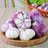 河南紫皮大蒜新鲜现挖,鲜美味浓,辛辣醇香 商品缩略图0