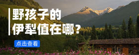野孩子的伊犁值在哪儿？