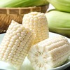 【精选品质❗️白糯牛奶玉米】产地直采锁鲜直达，奶白颗粒饱满，白糯玉米香糯玉米白甜糯玉米，嫩包谷带壳黏玉米应季糯玉米L 商品缩略图3