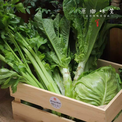 生态蔬菜组合（莴笋/带壳豌豆/带壳蚕豆/生态西芹/生态莲花白）（农场直发-顺丰包邮）|多种规格，来自成都郫都，生产者：原乡生态农场 商品图1