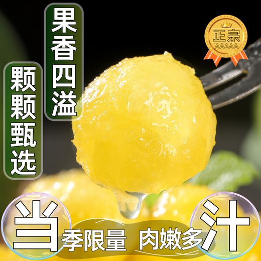 【梦中情瓜❗️冰淇淋黄心西瓜】当季限量，超好吃，淡淡奶香味•入口就化成一汪糖水！特小凤黄瓤手撕西瓜新鲜水果整箱脆甜皮薄黑籽 商品图1