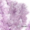 永生花材 | 蓬莱松香芋紫 商品缩略图1
