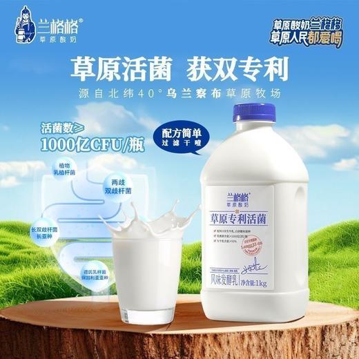 兰格格1kg草原专利活菌酸奶 商品图6
