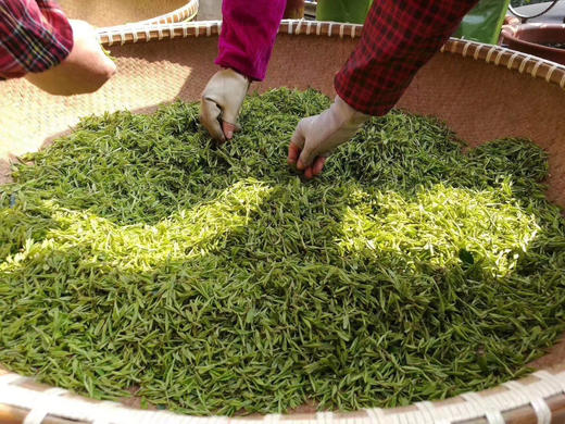 【雨前狮峰龙井茶】茶香浓郁 性价比高  125g/250g两个规格可选 商品图5