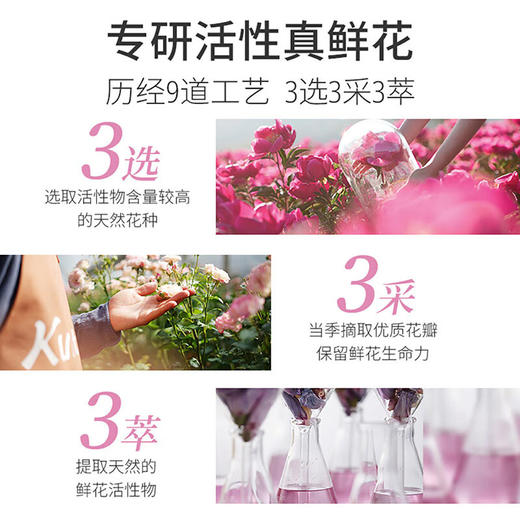 蔻斯汀玫瑰双舱花瓣柔顺丝滑洗发水500ml 商品图1