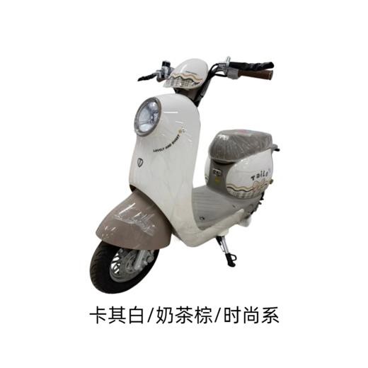 美点-台铃-繁花新新材料版 商品图3