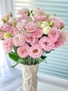 【四月宜养花】火烈鸟马蹄莲5支+香槟色洋桔梗7-10朵+紫色系洋桔梗或粉色系7-10朵+送小绣球1支/份（绣球容易脱水送的不售后） 商品缩略图9