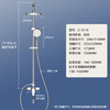 名爵淋浴花洒套装 增压喷头冷热铜龙头混水阀亮银Z-5119 商品缩略图0