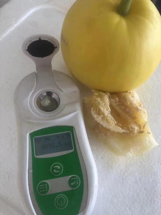 【SGS 380项农残O检出】【“土”甜瓜】浓香多汁，肉脆瓤蜜， 不催熟，不打甜蜜素，不打膨大剂 商品图5