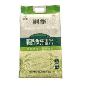 荆华 甄选象牙香米 10kg/袋