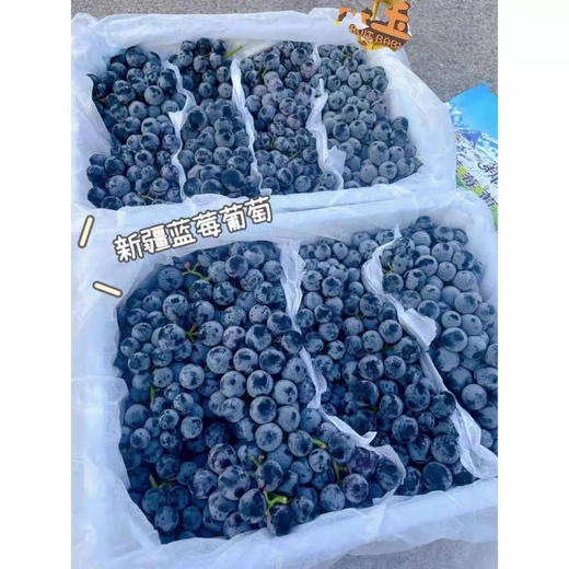 现货 蓝莓葡萄2斤装 商品图2