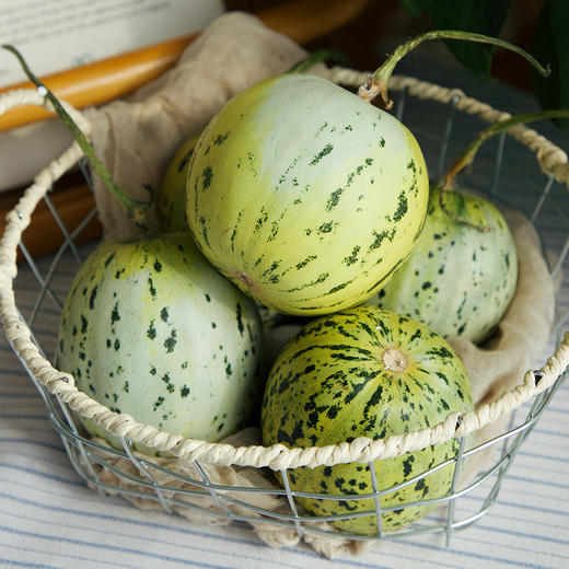 【会员日福利】【现摘现发 好吃的甜瓜】肉厚细腻 清甜无渣 瓜香浓郁 果肉越放越绵软~ 商品图7
