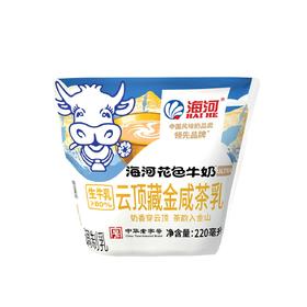 海河220ml云顶藏金咸茶乳牛奶