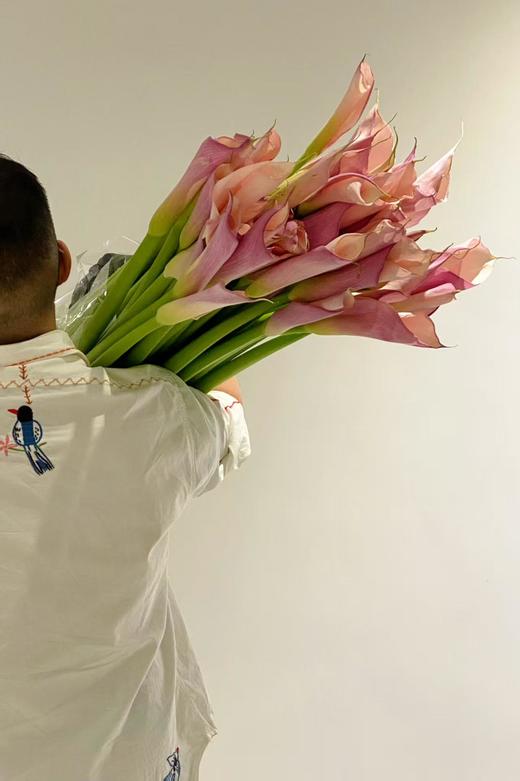 【四月宜养花】火烈鸟马蹄莲5支+香槟色洋桔梗7-10朵+紫色系洋桔梗或粉色系7-10朵+送小绣球1支/份（绣球容易脱水送的不售后） 商品图12