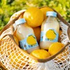 【华东精选商城】柚香谷宋柚300g*20瓶乳酸菌味饮料柚子风味0脂饮品 商品缩略图4