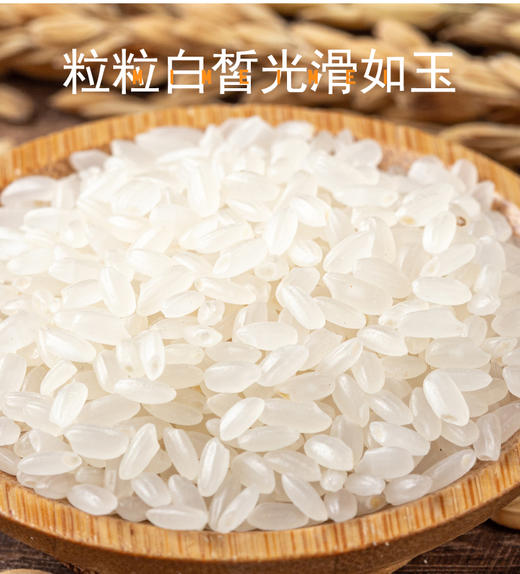 米妹妹五常香米（真空袋装）5kg 商品图1