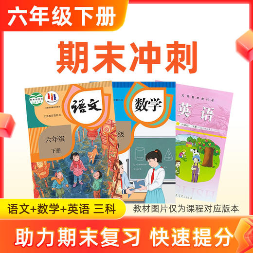 26春【语数英】六下期末冲刺 3科 商品图0