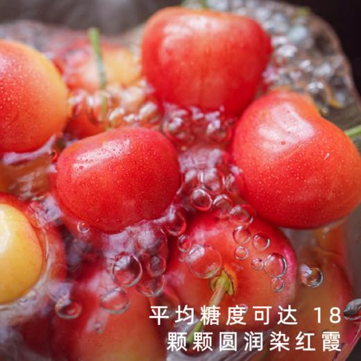 艾格吃饱了 大连蜜甜红樱桃蜜香甜润产地顺丰直发 商品图1