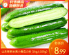 【叼鲜蔬】山东新鲜水果小黄瓜/1份（1kg±100g） 商品缩略图0