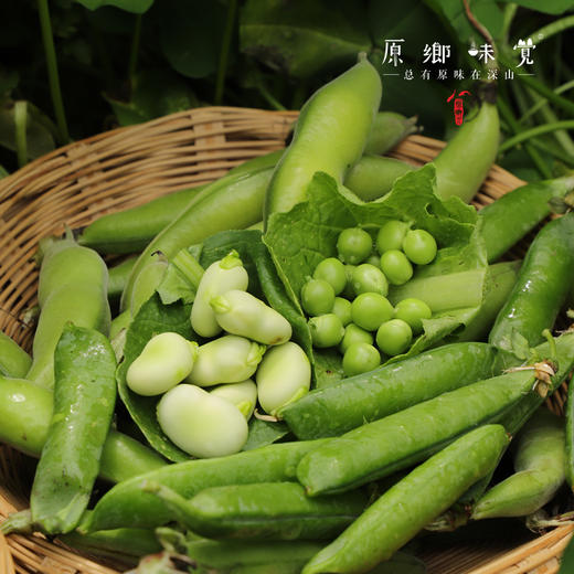 生态蔬菜组合（莴笋/带壳豌豆/带壳蚕豆/生态西芹/生态莲花白）（农场直发-顺丰包邮）|多种规格，来自成都郫都，生产者：原乡生态农场 商品图2