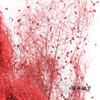 永生花材 | 雾中情人红色 商品缩略图2