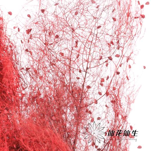 永生花材 | 雾中情人红色 商品图2