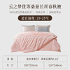 慈云云之梦蚕丝被 100%桑蚕长丝A类优等品春秋被子4.6斤2.2*2.4m 商品缩略图4