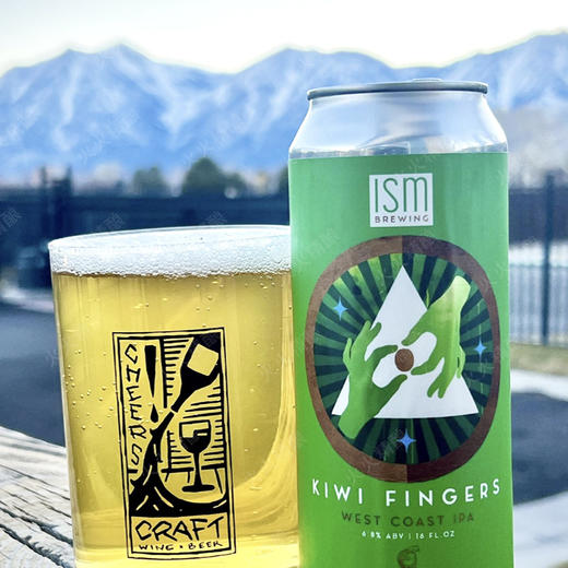 ISM 触碰酒花 473ml 商品图0