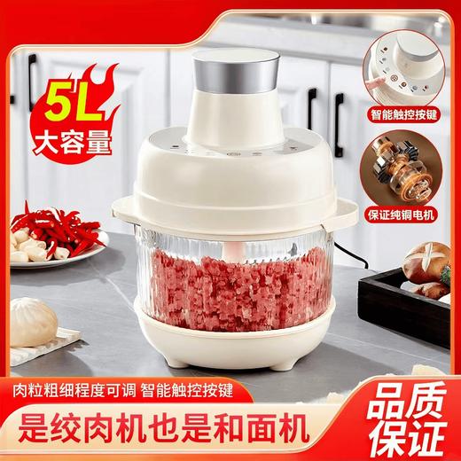 M153永兴隆多功能绞肉机【5L】 商品图0