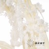 永生花材 ｜ 吊米白色 商品缩略图3