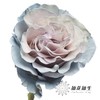 国产染色玫瑰 | 蓝色沙子 商品缩略图3