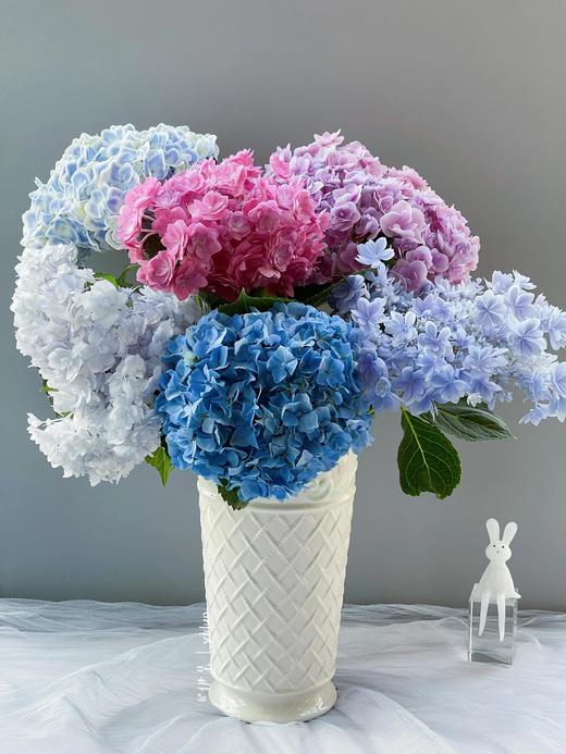 【四月宜养花】火烈鸟马蹄莲5支+香槟色洋桔梗7-10朵+紫色系洋桔梗或粉色系7-10朵+送小绣球1支/份（绣球容易脱水送的不售后） 商品图10