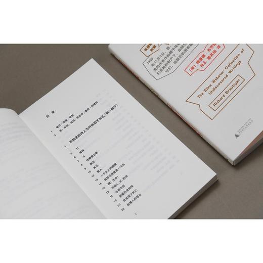 新民说·布劳提根早期诗文集 商品图6