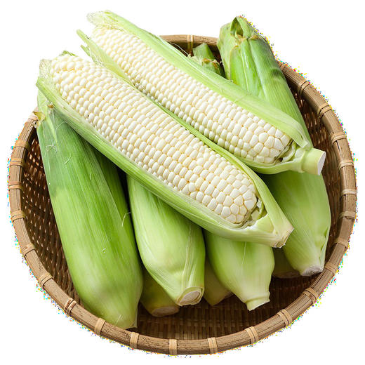 【精选品质❗️白糯牛奶玉米】产地直采锁鲜直达，奶白颗粒饱满，白糯玉米香糯玉米白甜糯玉米，嫩包谷带壳黏玉米应季糯玉米L 商品图4