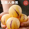 【福利❗️27.9/3斤装🔥云南石林人参果】石林产地直供❗️爆汁香甜，现摘现发锁鲜，果肉金黄细腻，自带淡雅果香，适配日常鲜食，口感清爽解腻，新鲜现摘应季水果树上熟清甜黄心大果L 商品缩略图3