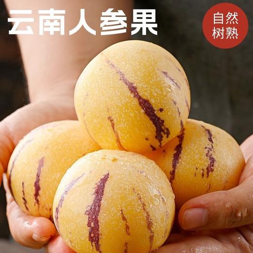 【福利❗️27.9/3斤装🔥云南石林人参果】石林产地直供❗️爆汁香甜，现摘现发锁鲜，果肉金黄细腻，自带淡雅果香，适配日常鲜食，口感清爽解腻，新鲜现摘应季水果树上熟清甜黄心大果L 商品图3