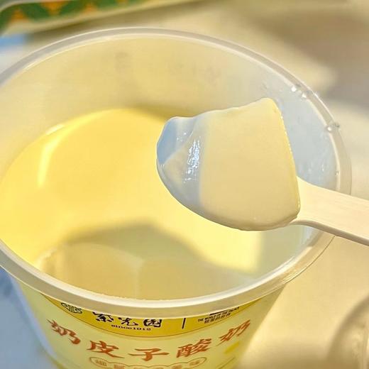 紫光园奶皮子酸奶&冰淇淋酸奶 丝滑的口感像在吃慕斯蛋糕 商品图2
