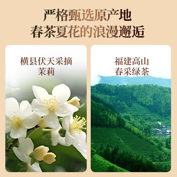 京华12号特级六窨茉莉花茶浓香型老北京特色花茶茶叶自己喝口粮茶250g 商品图3