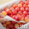 艾格吃饱了 大连蜜甜红樱桃蜜香甜润产地顺丰直发 商品缩略图3