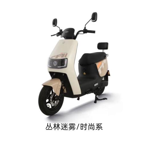 美点-台铃-星河新新材料版 商品图2